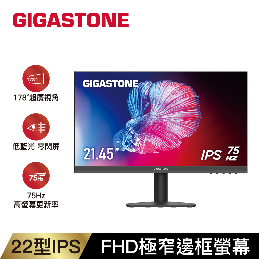 GIGASTONE 22型 IPS FHD 極窄邊框螢幕 ( LM-22FA51 )