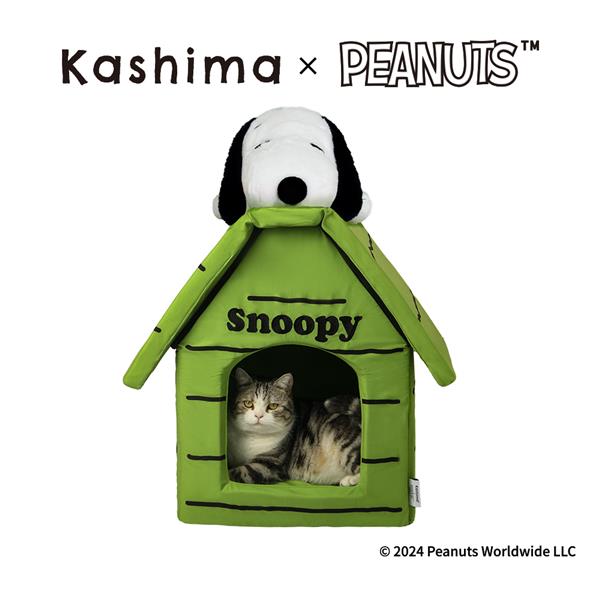 Kashima Snoopy房子寵物窩 綠