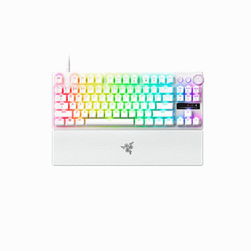 Razer 獵魂光蛛V3專業競技版(英文)