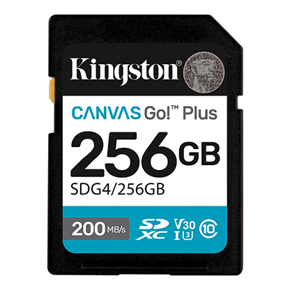 Kingston SDG4/256GB