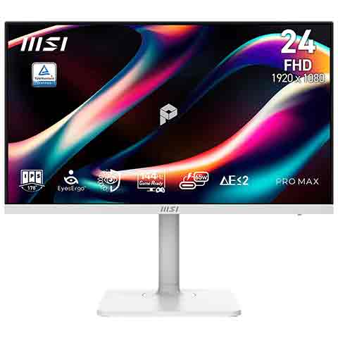 MSI PRO MAX 241PHW E14