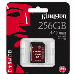 Kingston SDA3/256GB