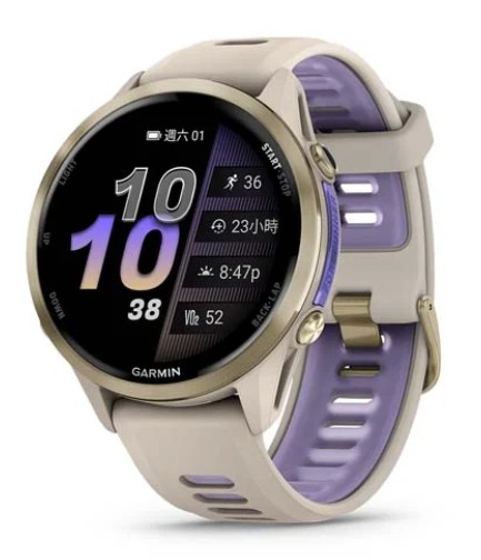 Forerunner 970, GPS, French Gray/Indigo, TWN