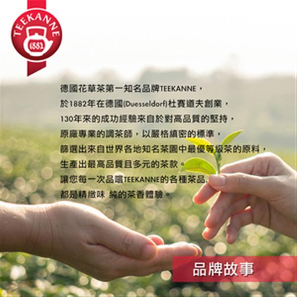【德國TEEKANNE 恬康樂】熱泡系列 Premium Camomile 洋甘菊草本茶
