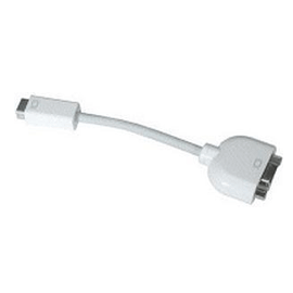 Apple Mini-DVI to VGA/DVI to DVI Adapter (12-inch model)