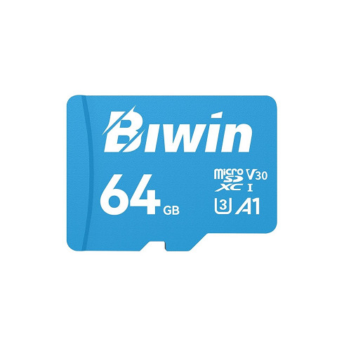 Biwin MS100 64GB