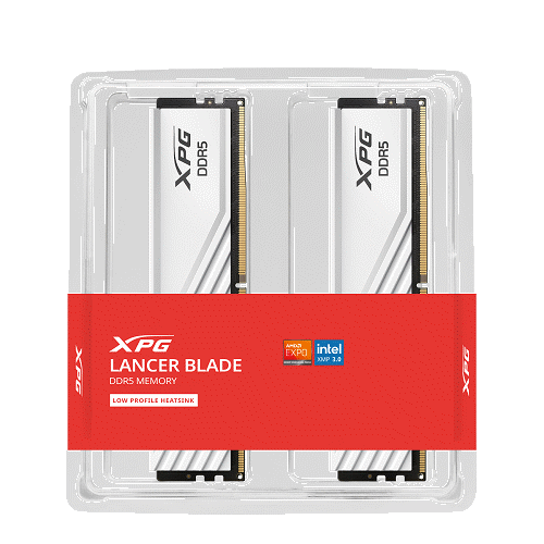 AX5U6000C4816G-DTLABWH