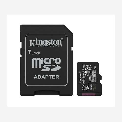SDCS3/256GB