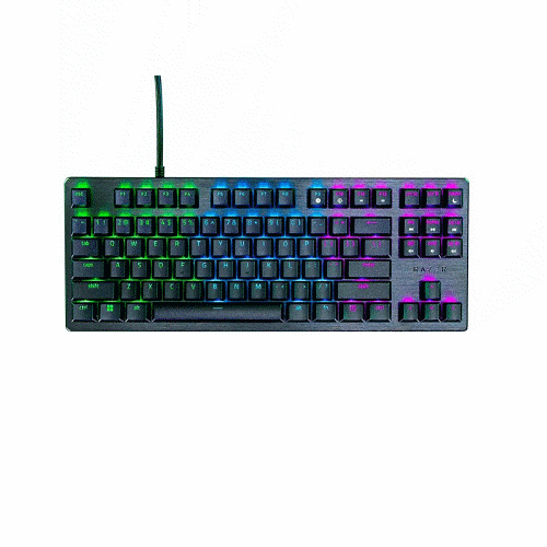 Razer 獵魂光蛛 V3 X Tenkeyless(中文)