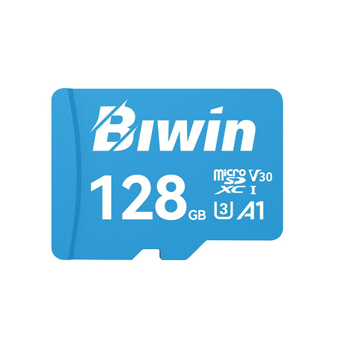 Biwin MS100 128GB