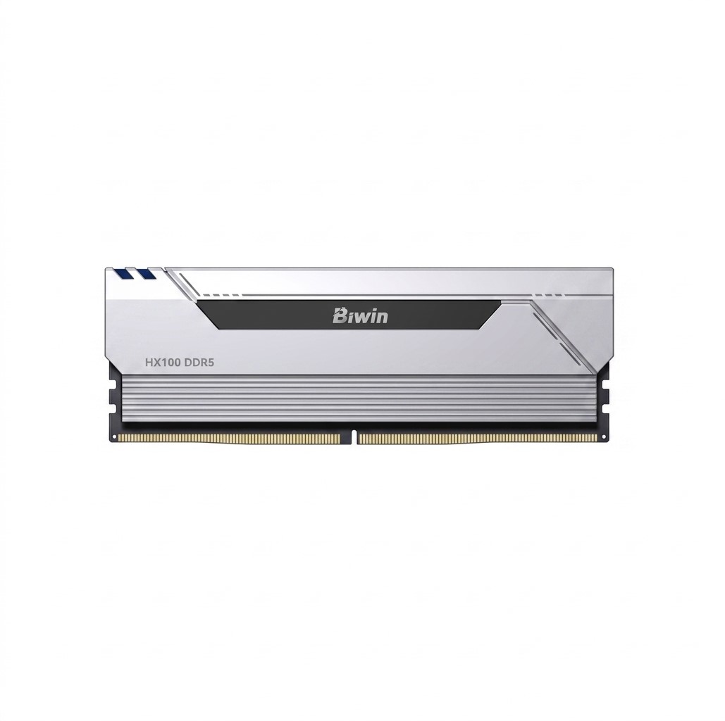 Biwin Black Opal DDR5 HX100 16G/Silver