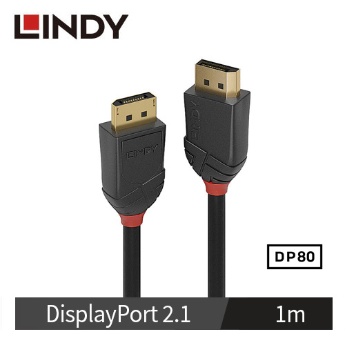 LINDY林帝 BLACK LINE DP 2.1版 80G 公 to 公 傳輸線, 1m