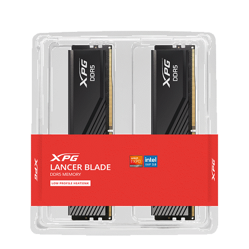 AX5U6000C4816G-DTLABBK