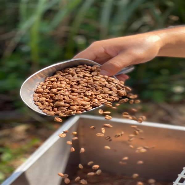 【海倫咖啡】日本 HARIO V60白色磁石咖啡濾杯01