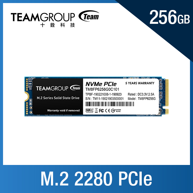 TEAM十銓 MP33 256G M.2 PCI-E SSD ( TM8FP6256G0C101 )