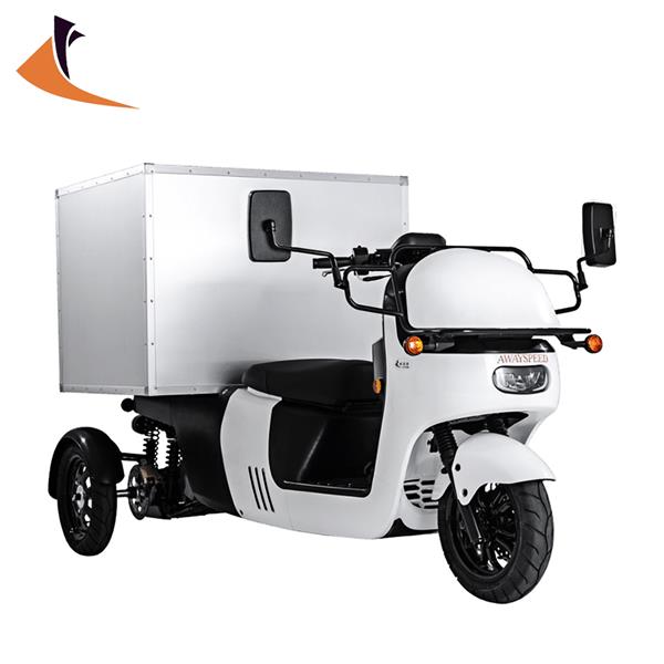 威速登金卡多(威剛電動車)-標準車廂