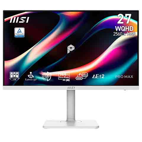 MSI PRO MAX 271QPHW E14