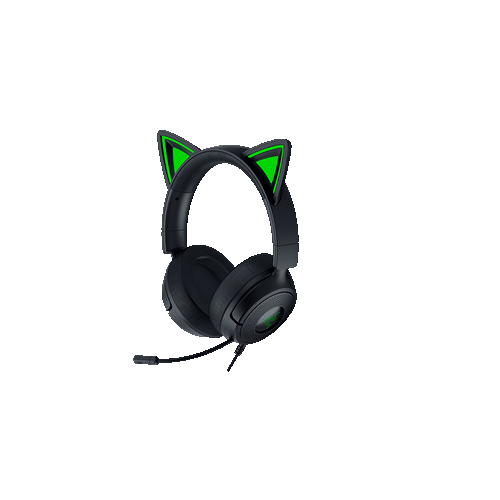 Razer 北海巨妖 Kitty V3X