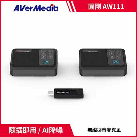 AVERMEDIA 圓剛 AW111一對二無線收音麥克風組 ( 61AW111000AB )