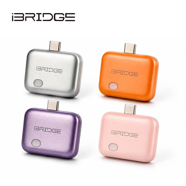 iBRIDGE 滿電保護器 - 銀色 (LK09)