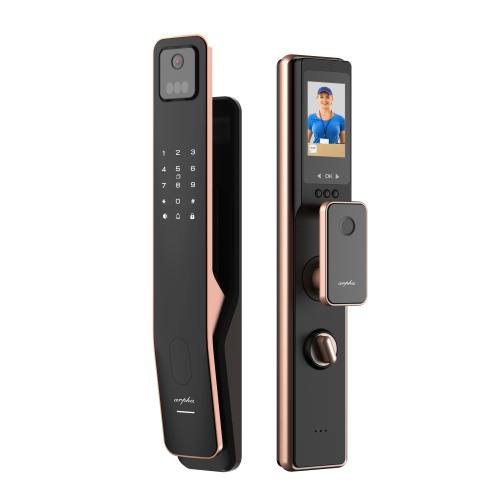 arpha K2 人臉掌靜脈指靜脈 智慧靜音電子鎖