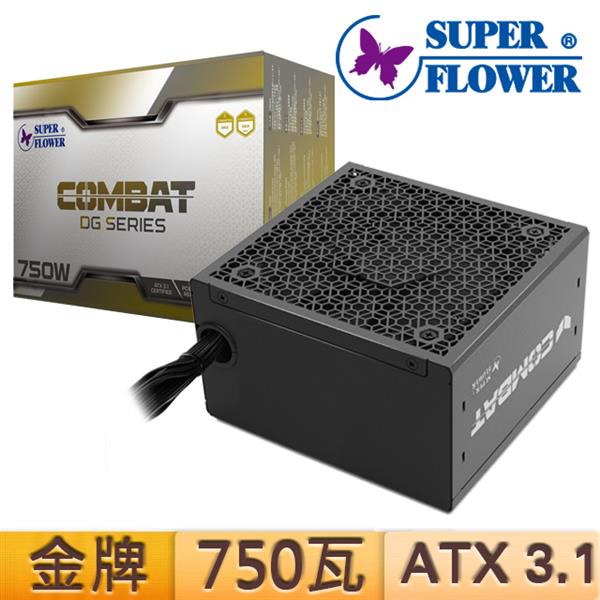 振華 COMBAT DG 金牌750W 直出線ATX3.1電源供應器