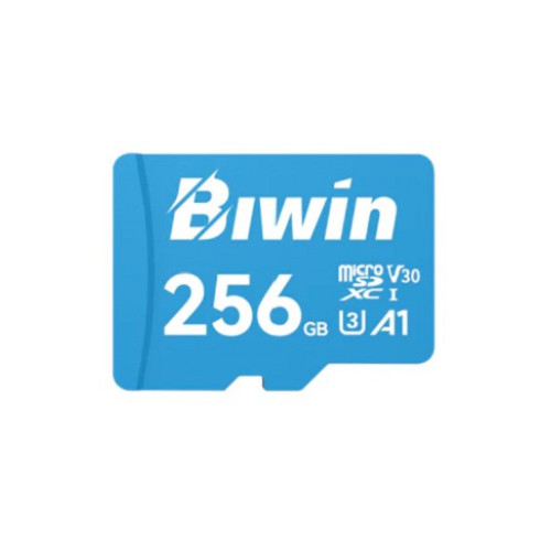 Biwin MS100 256TB