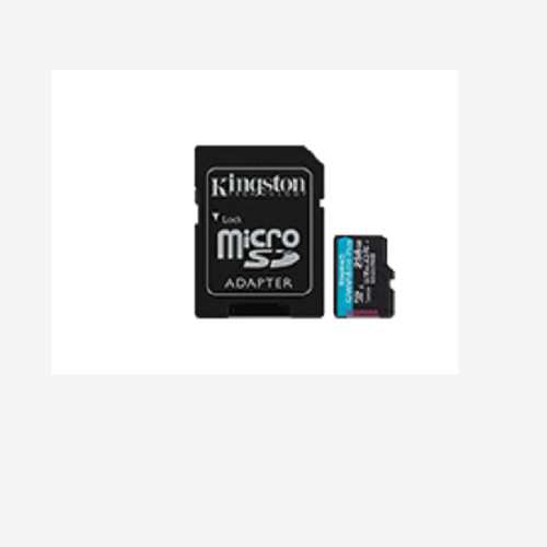 SDCG4/256GB