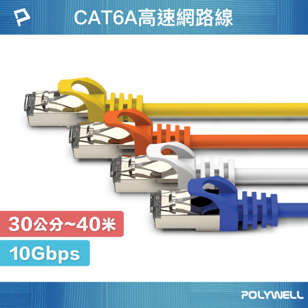 CAT6A 高速網路線 30公分~40米 10Gbps 網路線 RJ45 福祿克認證