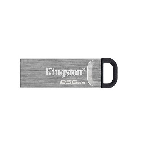 DTKN/256GB
