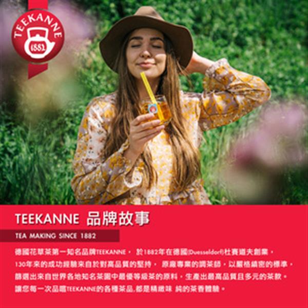 【德國TEEKANNE 恬康樂】冷泡茶 Pineapple Mango 鳳梨芒果水果茶
