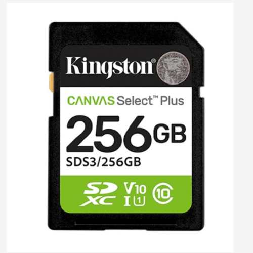 SDS3/256GB
