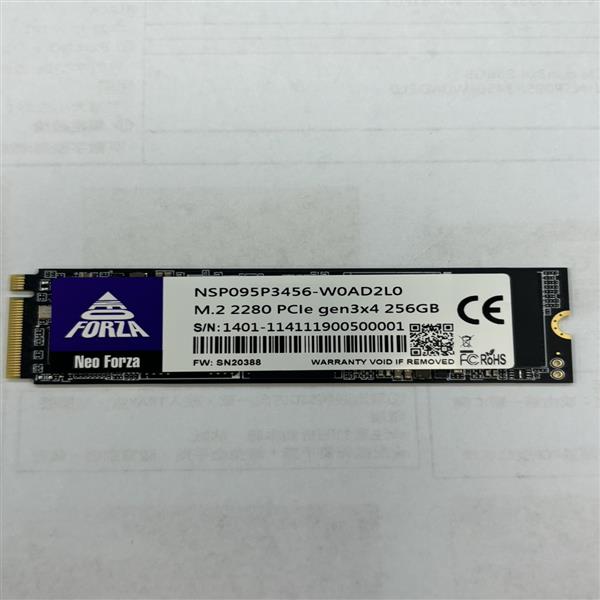 Neo Forza 凌航 NSP095 256GB PCIe Gen3x4 (專案)