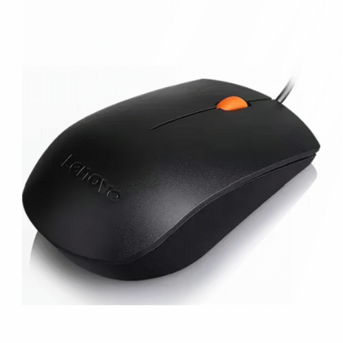 Lenovo 300 USB Mouse