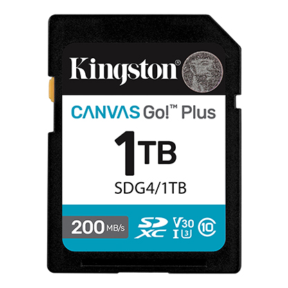Kingston SDG4/1TB
