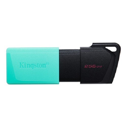 KINGSTON 256GB 隨身碟